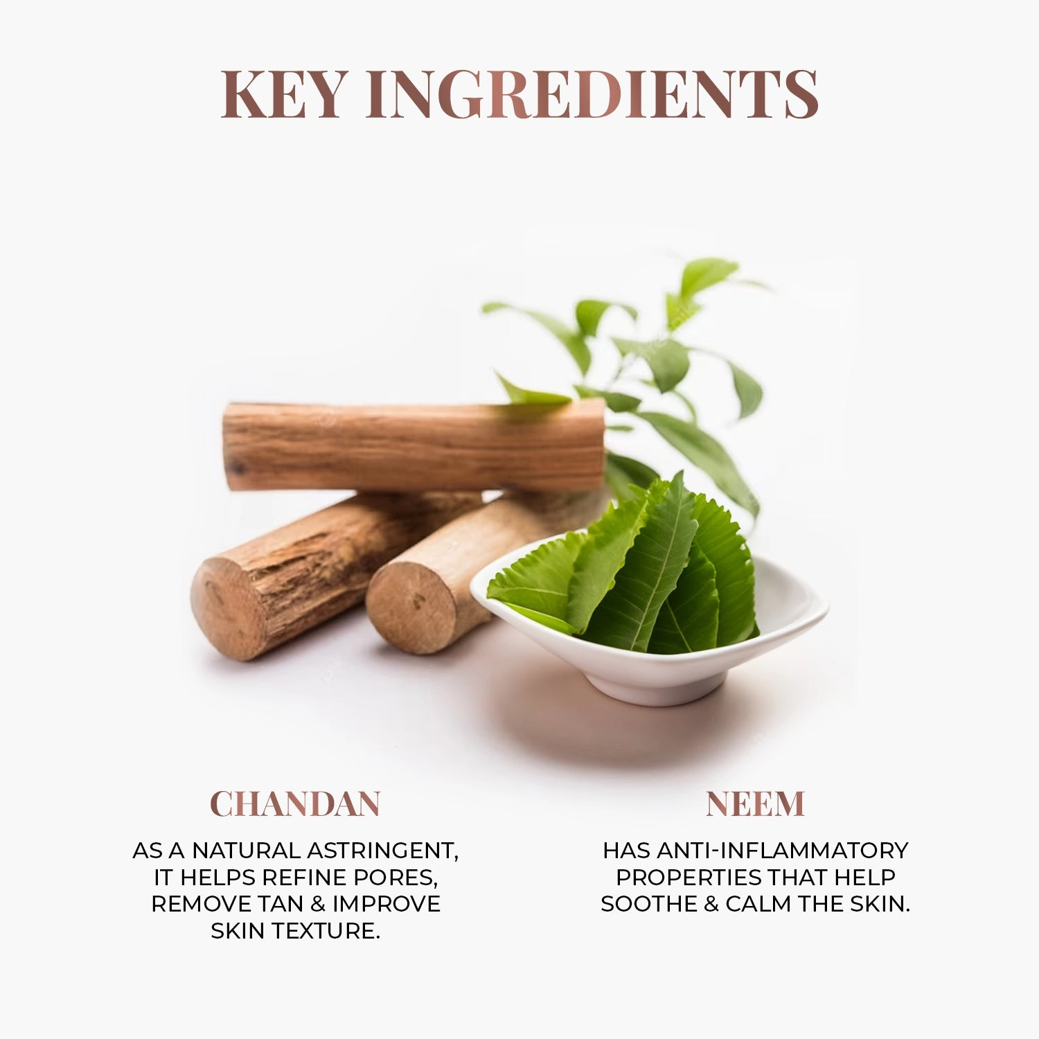 2 In 1 Dry Face Wash & Scrub with Neem and Chandan - Just Herbs