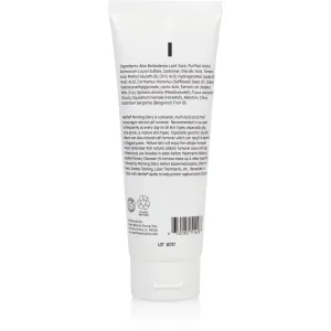Aesthe Morning Glory Multi-Acid Exfoliant - Facial Scrub with 5 AHAs - Glycolic, Malic, Citric, Tartaric, Lactic Acids - For Cellular Turnover, Deep Cleansing - Oily, Acne-Prone, Mature Skin - 4.2 oz