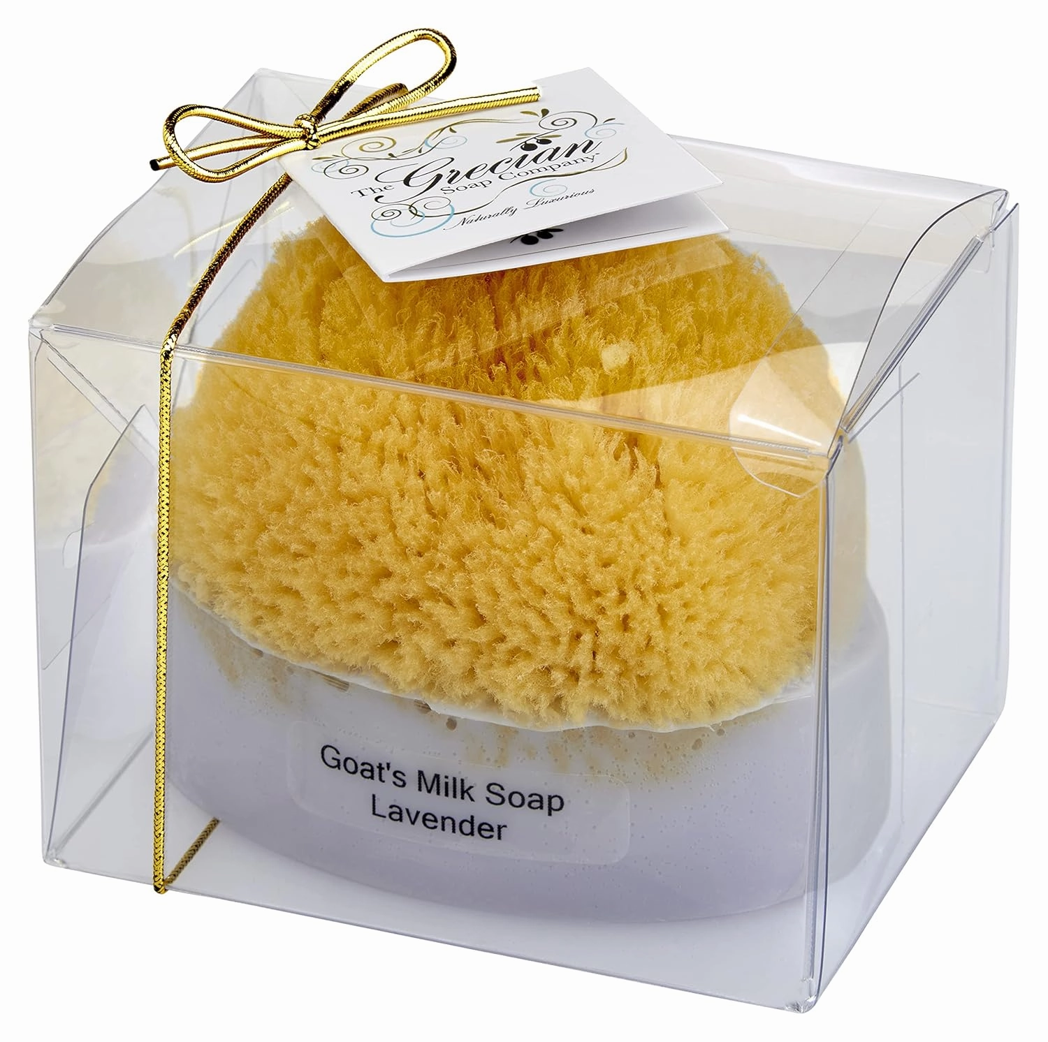 Goat Milk & Olive Oil Soap with Natural Sea Sponge 2-pack Lavender Scent: 6oz Exfoliating Bar for All Skin Types, Moisturizing, Hydrating, Gentle Cleansing, Men & Women