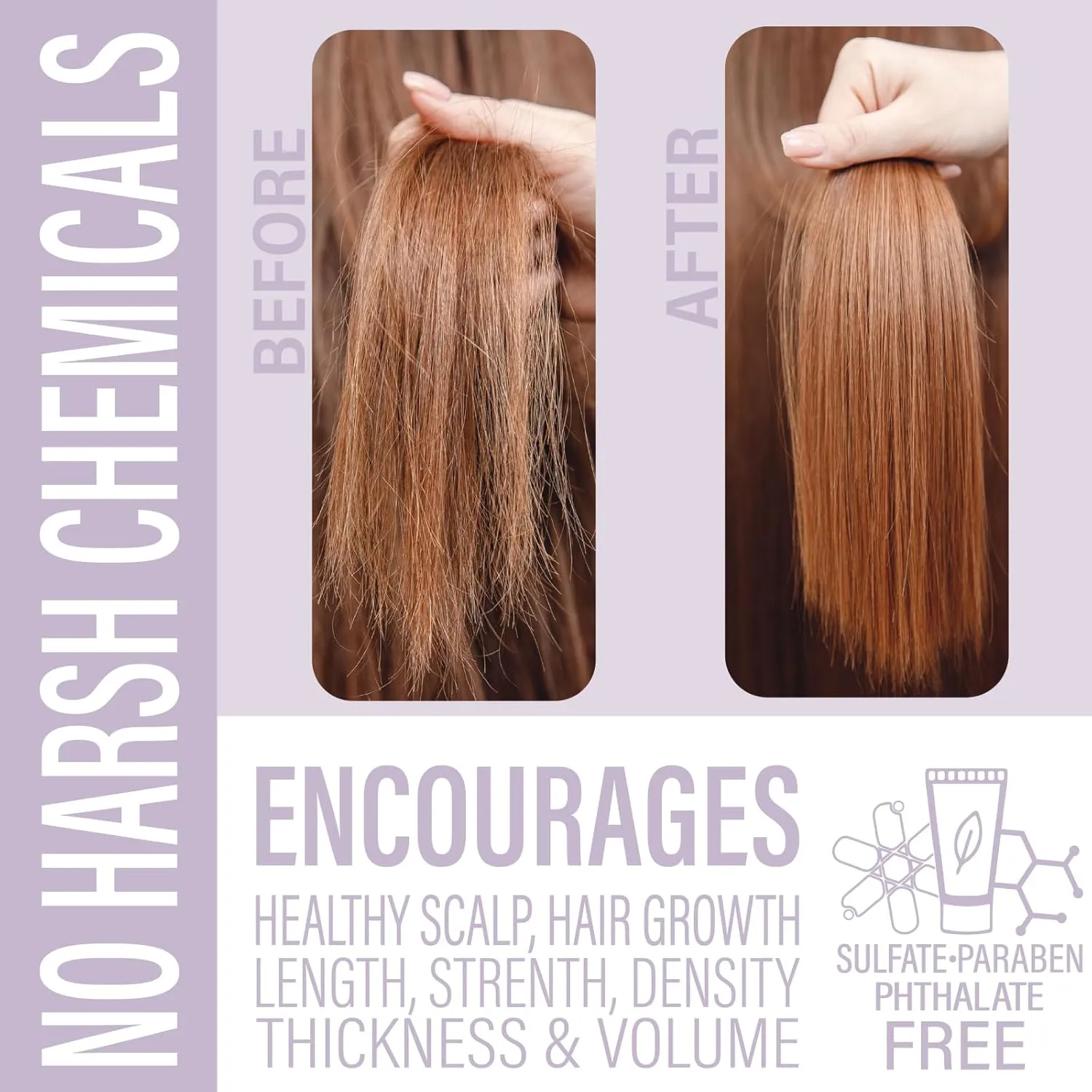 Hair Shampoo and Conditioner Set - Sulfate Free Lavender Bars, Made in USA (1 Shampoo Bar 60g, 1 Deep Conditioner Bar 50g)