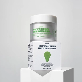 Houttuynia Cordata Revital Energy Cream/Hydrating Face Moisturizer for Dry, Sensitive Skin, Korean Skincare for Men and Women (50ml / 1.09 fl oz)