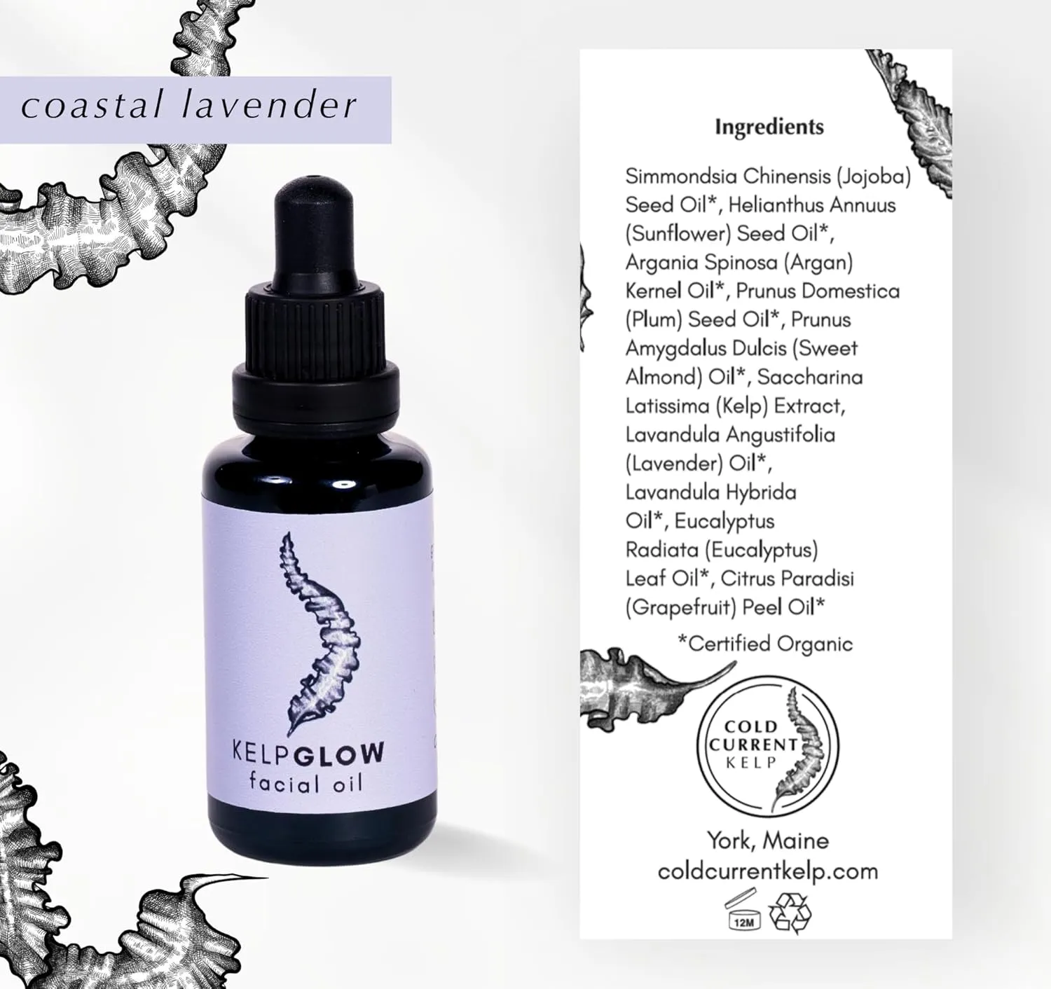 KelpGlow Facial Oil, Maine-Grown Kelp 30ml (Coastal Lavender)