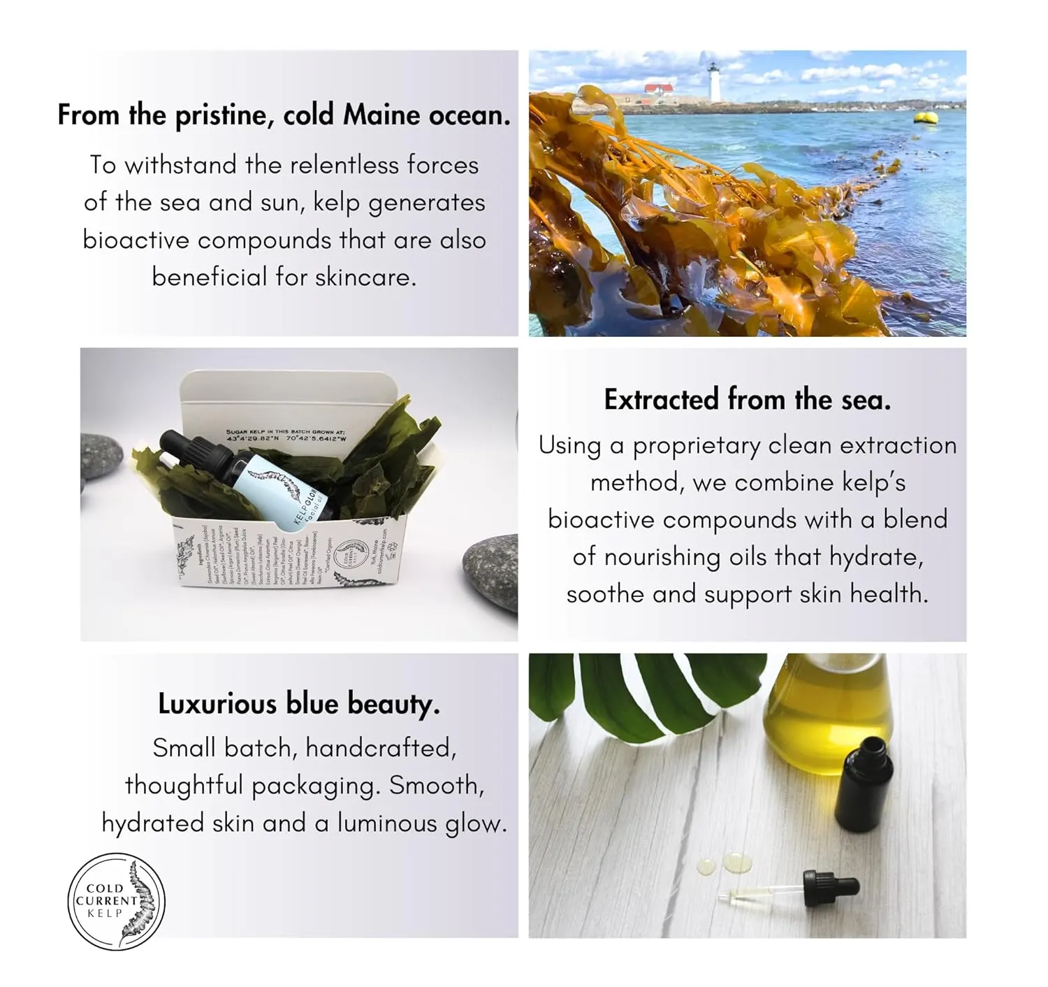 KelpGlow Facial Oil, Maine-Grown Kelp 30ml (Coastal Lavender)