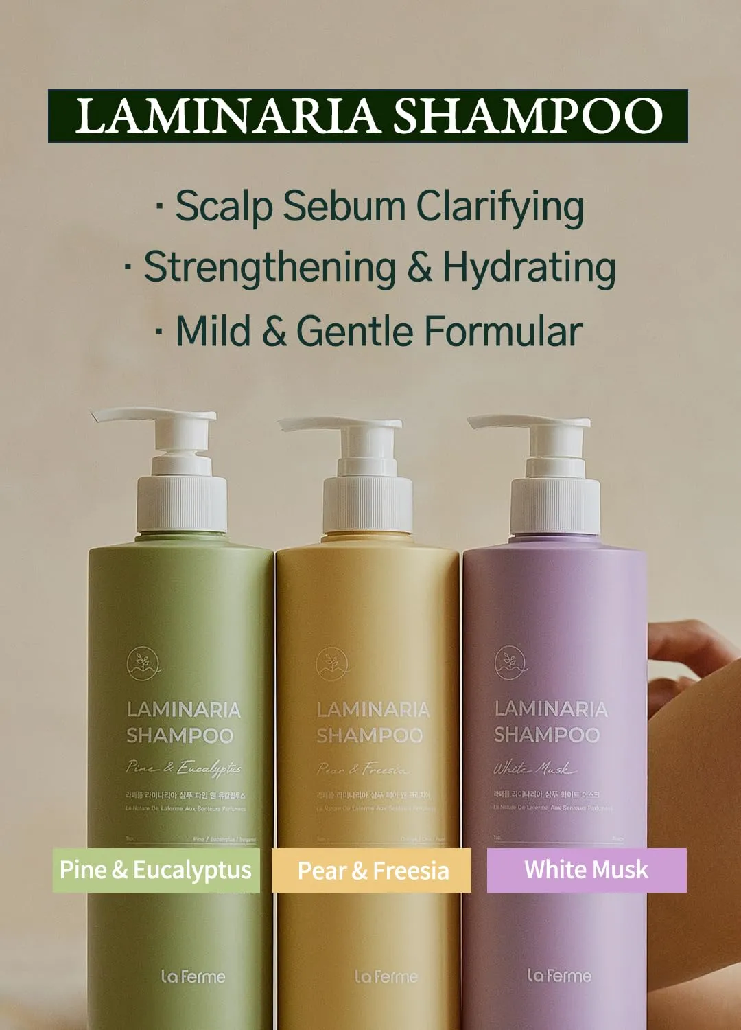 Laminaria Shampoo with Organic Ingredient, Korean Clarifying Shampoo, Hydrating for Dry Hair, Strengthening for Weak Hair, Sulfate & Paraben free, For Women & Men (16.9 FL. OZ., White Musk)