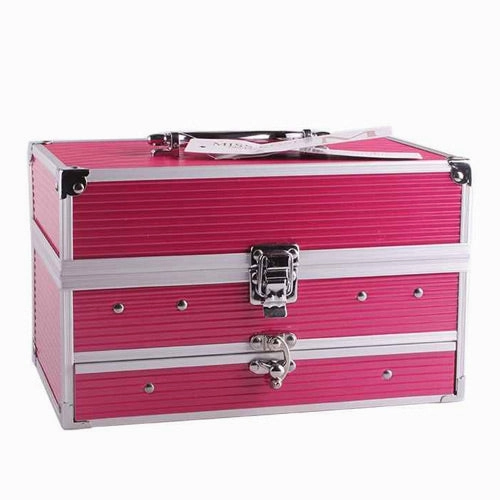 Limited-time offer Makeup MISS Professional Palette Professional service ROSE KIT
