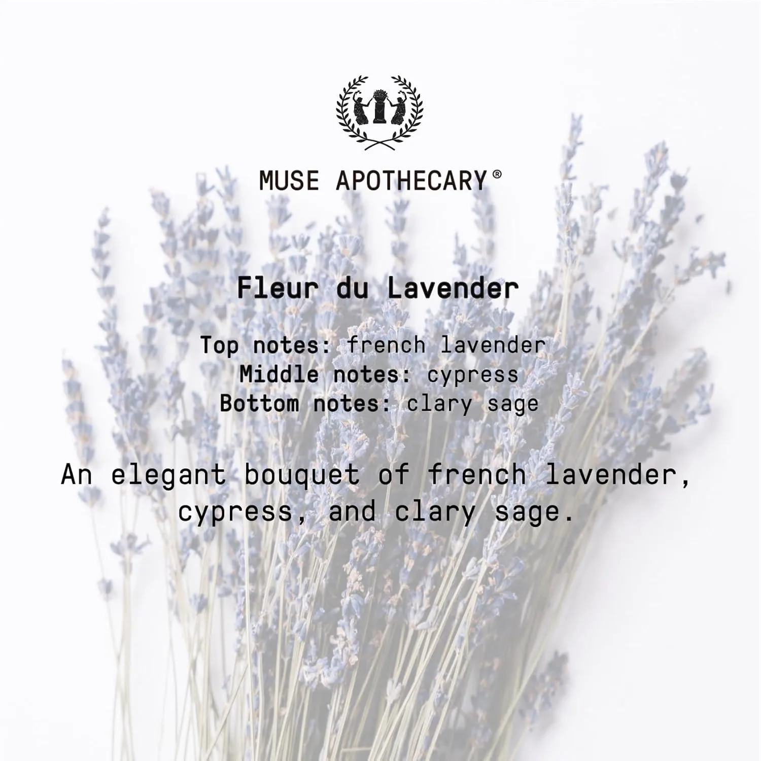 Muse Apothecary Body Ritual Hydrating - Fleur du Lavender Body Wash for Women & Men - Essential Oil Infused Aromatherapy Body Wash - 32 Ounce