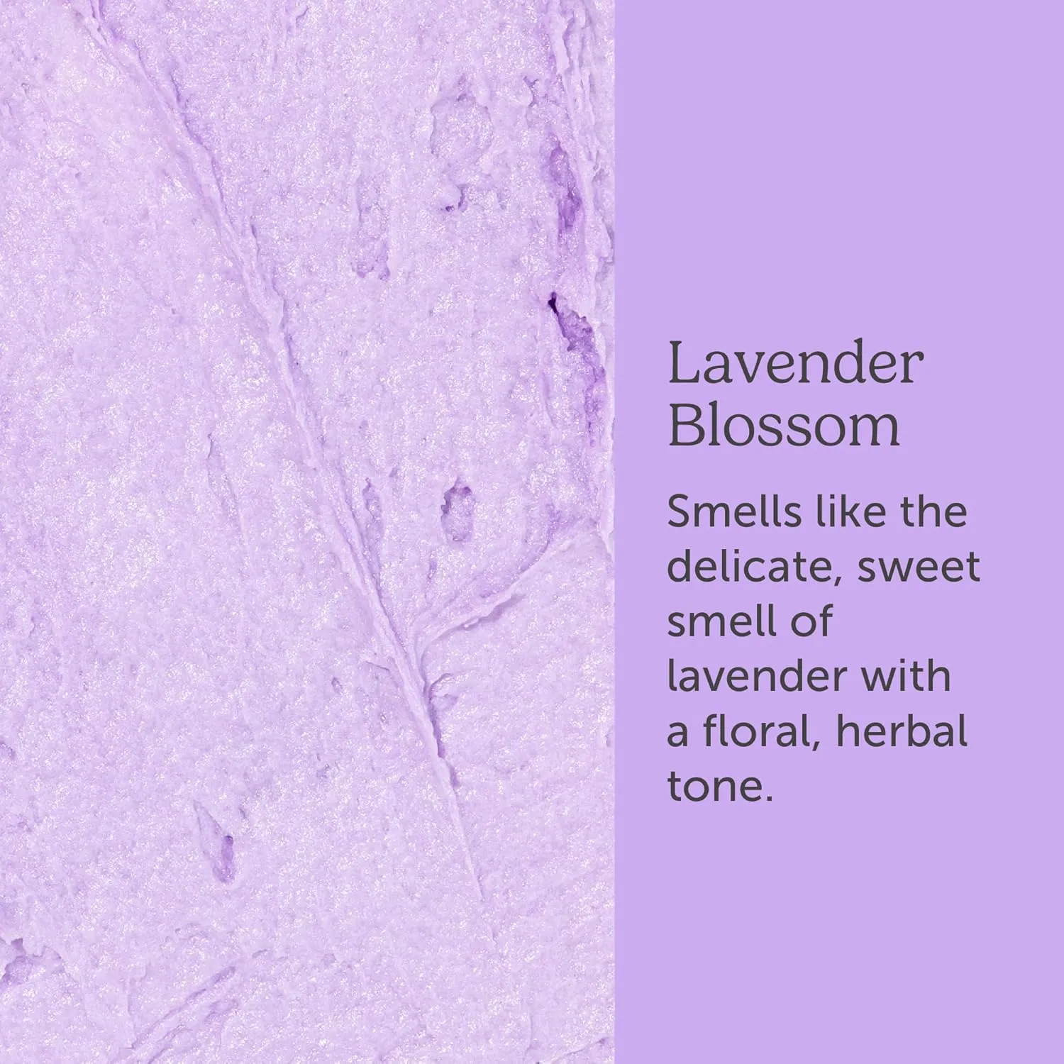 Nectar Life Whipped Soap and Shave Butter, 5 oz (Lavender)