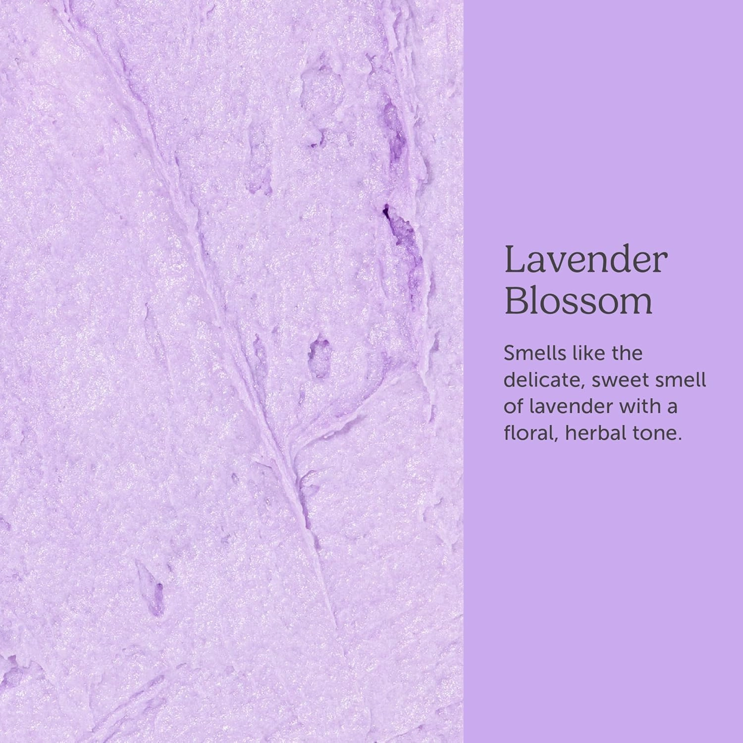 Nectar Life Whipped Soap and Shave Butter (10 Ounce, Lavender)
