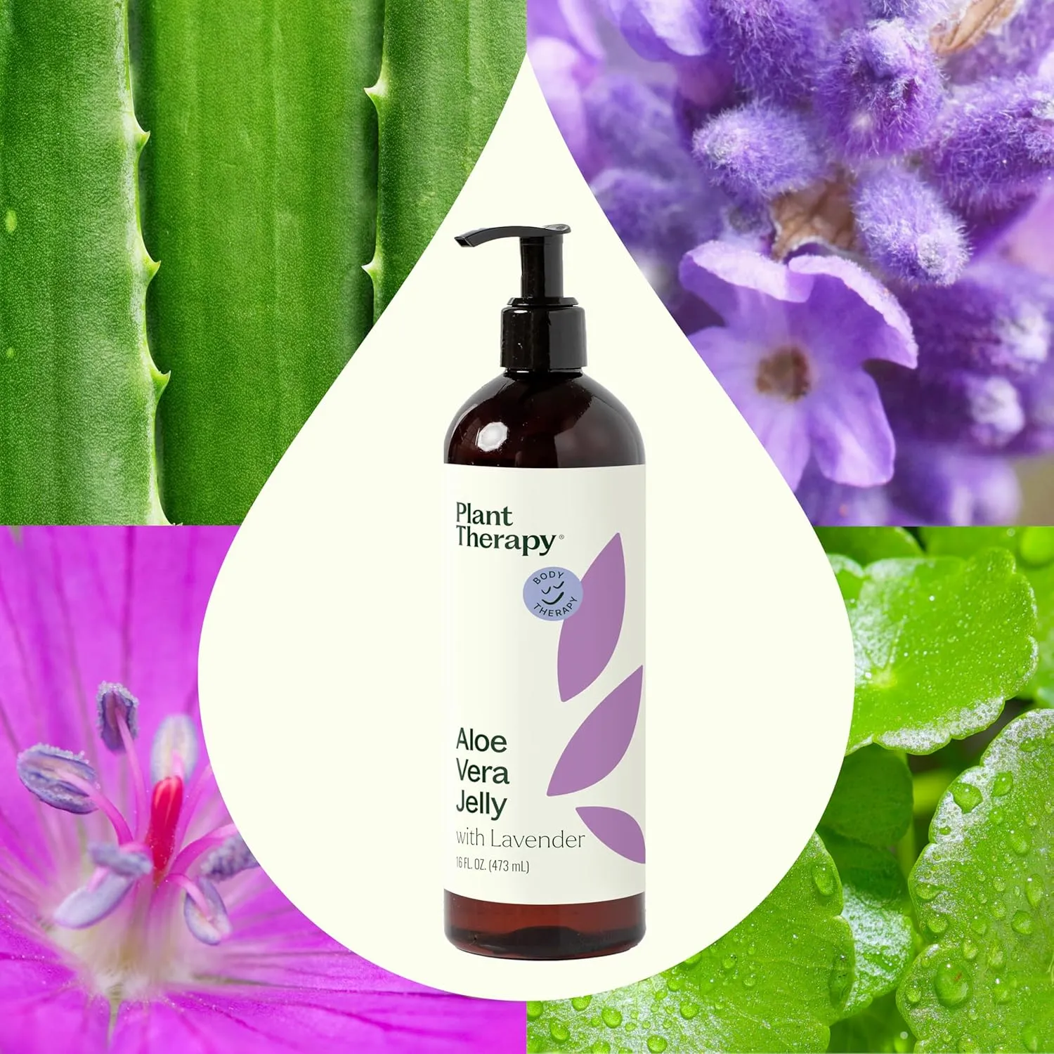 Plant Therapy Lavender Aloe Jelly 16 oz, All Natural, Made with 100% Pure Lavender Essential Oil - Newly Reformulated