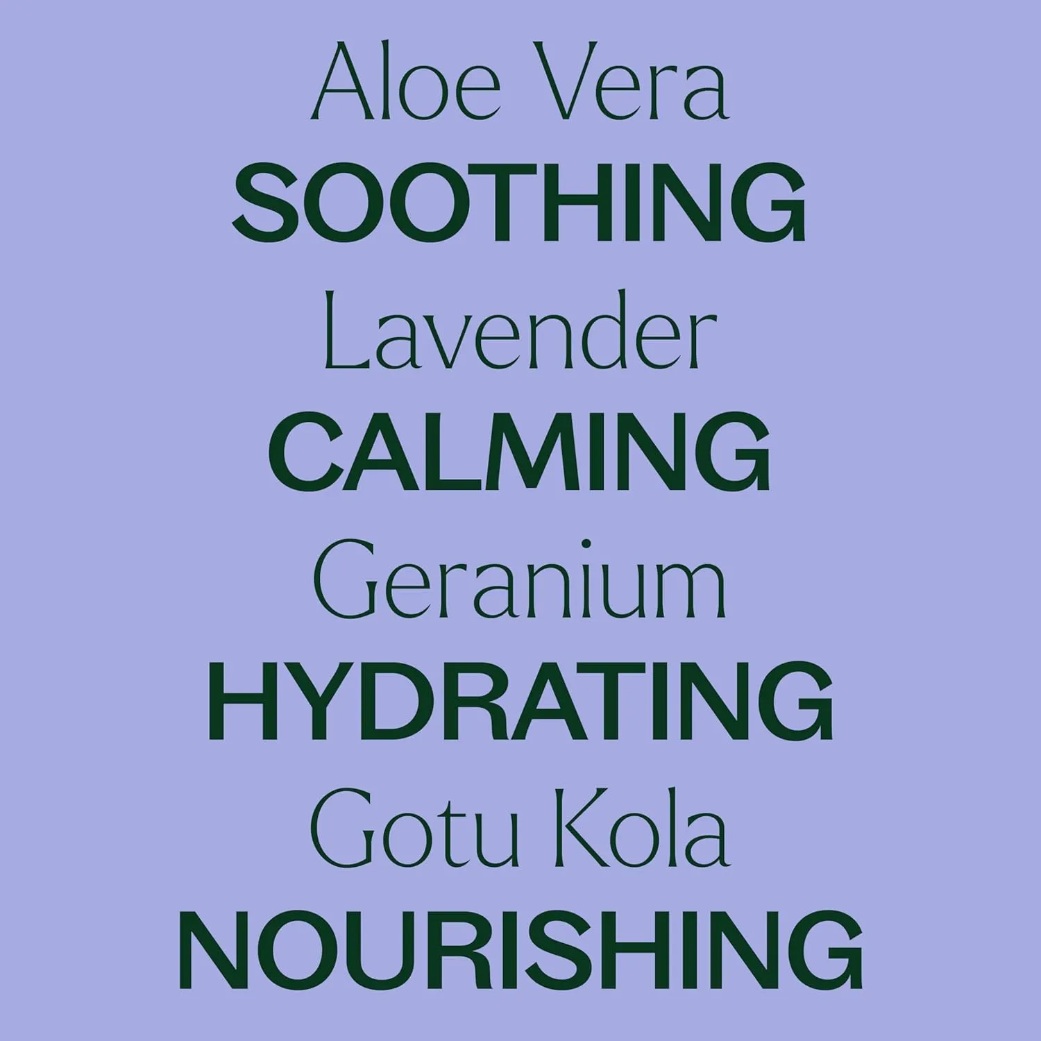 Plant Therapy Lavender Aloe Jelly 16 oz, All Natural, Made with 100% Pure Lavender Essential Oil - Newly Reformulated