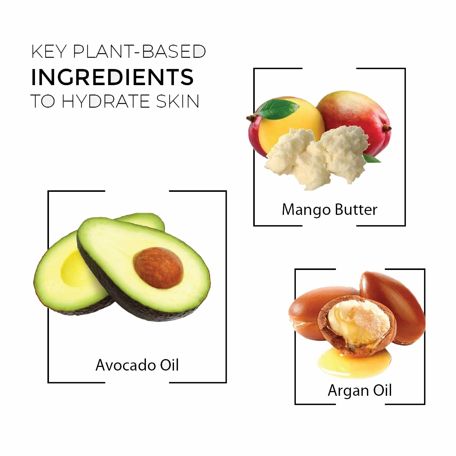 RaGaNaturals Lavender Hand and Body Cream, Mango Butter Body Cream with Argan and Avocado Oil - Plant Based, All Natural, Women, Men, Babies and Kids - 8 Fl Oz, Pack of 2