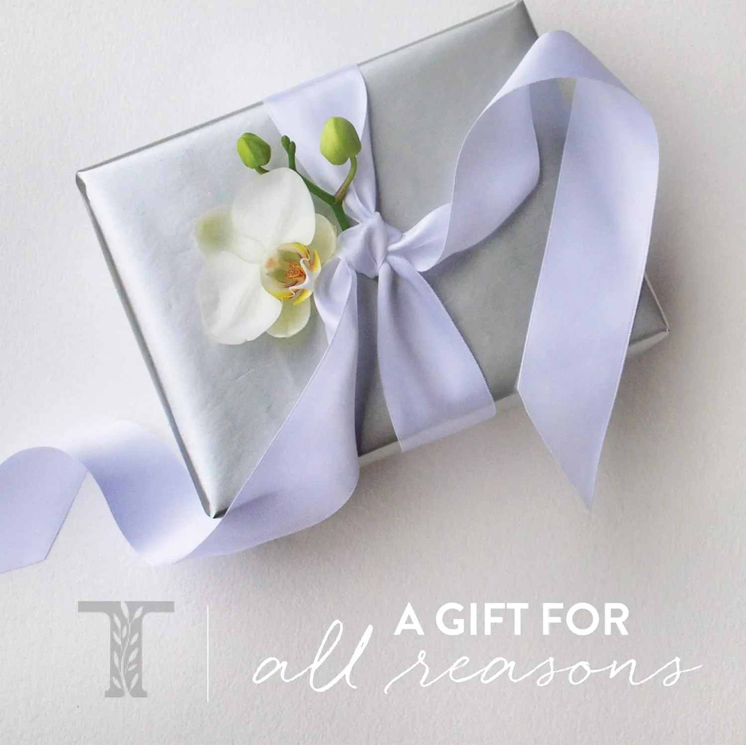 Thymes Hand Lotion - 8.25 Fl Oz - Olive Leaf