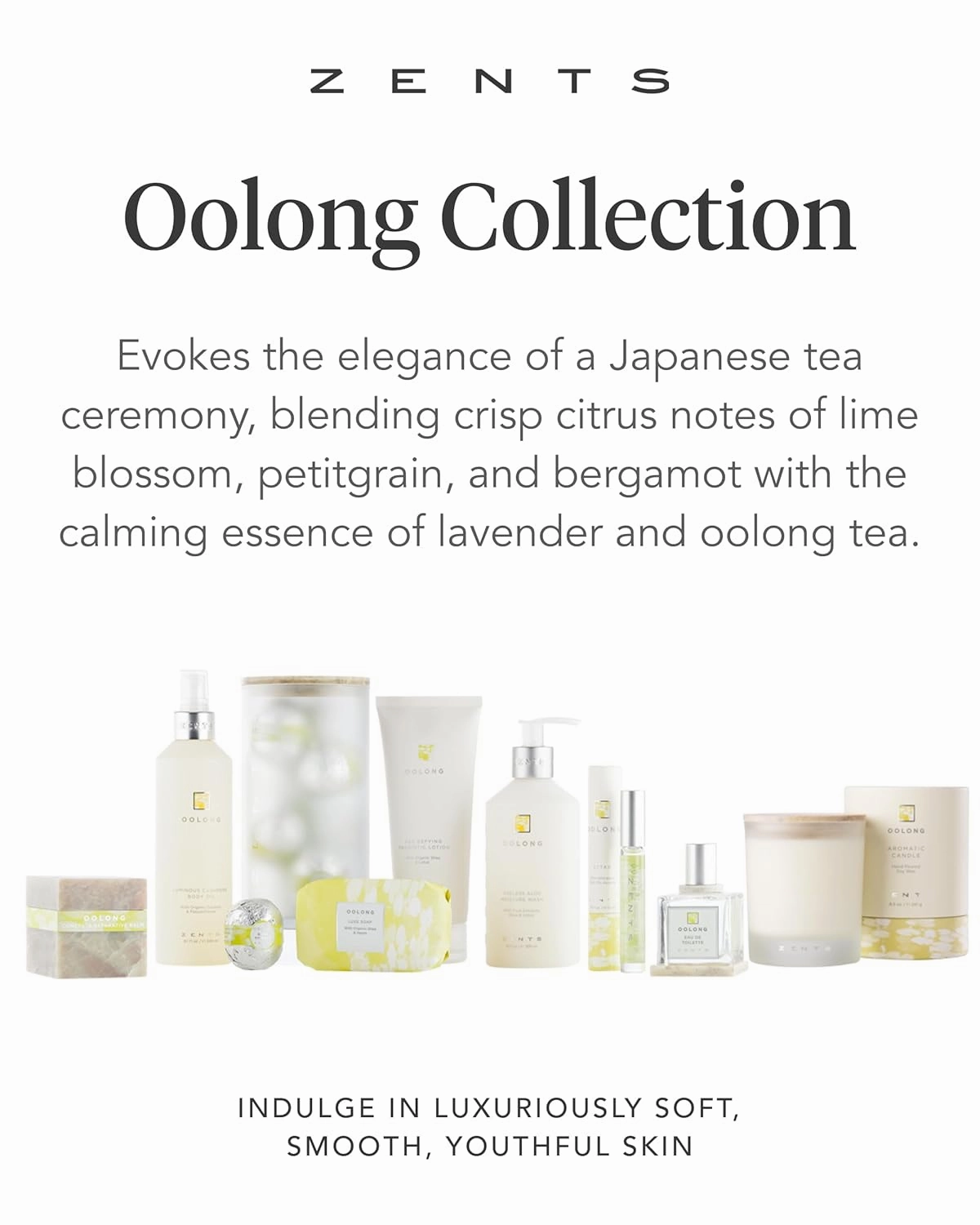 Zents Age-Defying Probiotic Body & Hand Lotion (Oolong) | Moisturizing Lotion with Hyaluronic Acid & Organic Shea Butter | Nourishes & Hydrates Skin | 6.4 fl oz