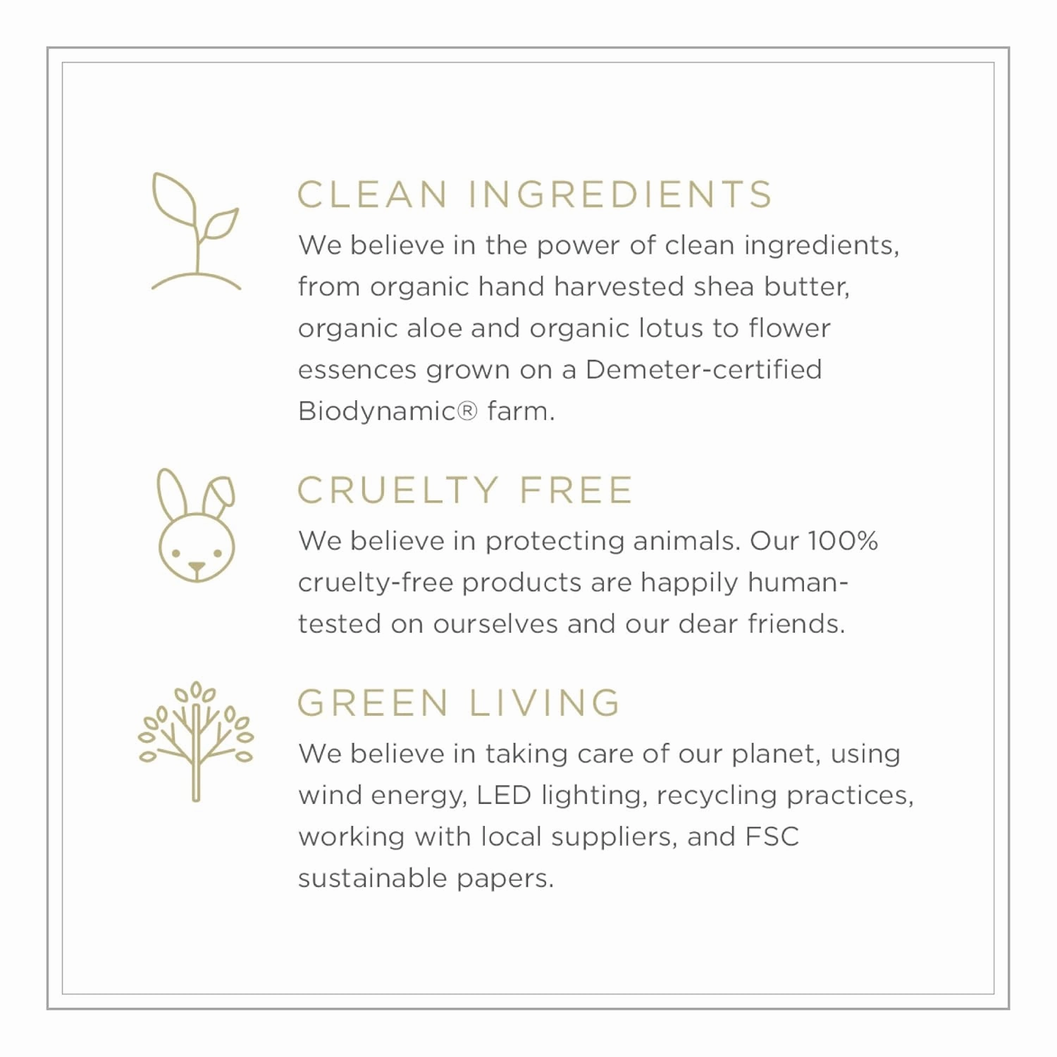 Zents Hand & Body Wash (Oolong Fragrance) | Hydrating Anti-Aging Cleanser with Organic Shea Butter & Aloe for Dry Skin | Gentle & Nourishing | 10 fl oz